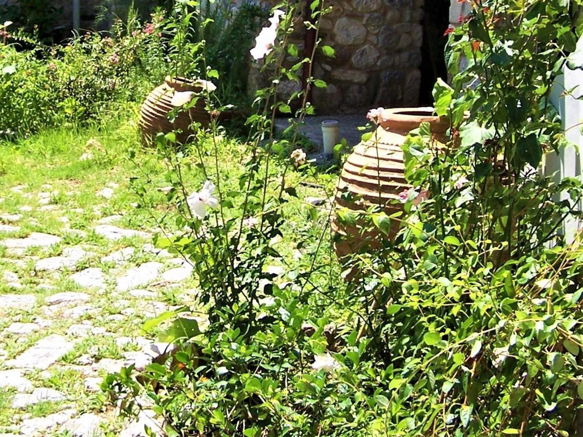 Ανεξαρτητο Studio Στο Ομορφο Καστορειο Kastorion Eksteriør bilde